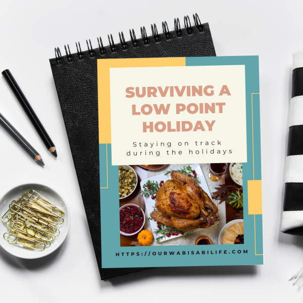 surviving a low point holiday ebook with a notebook